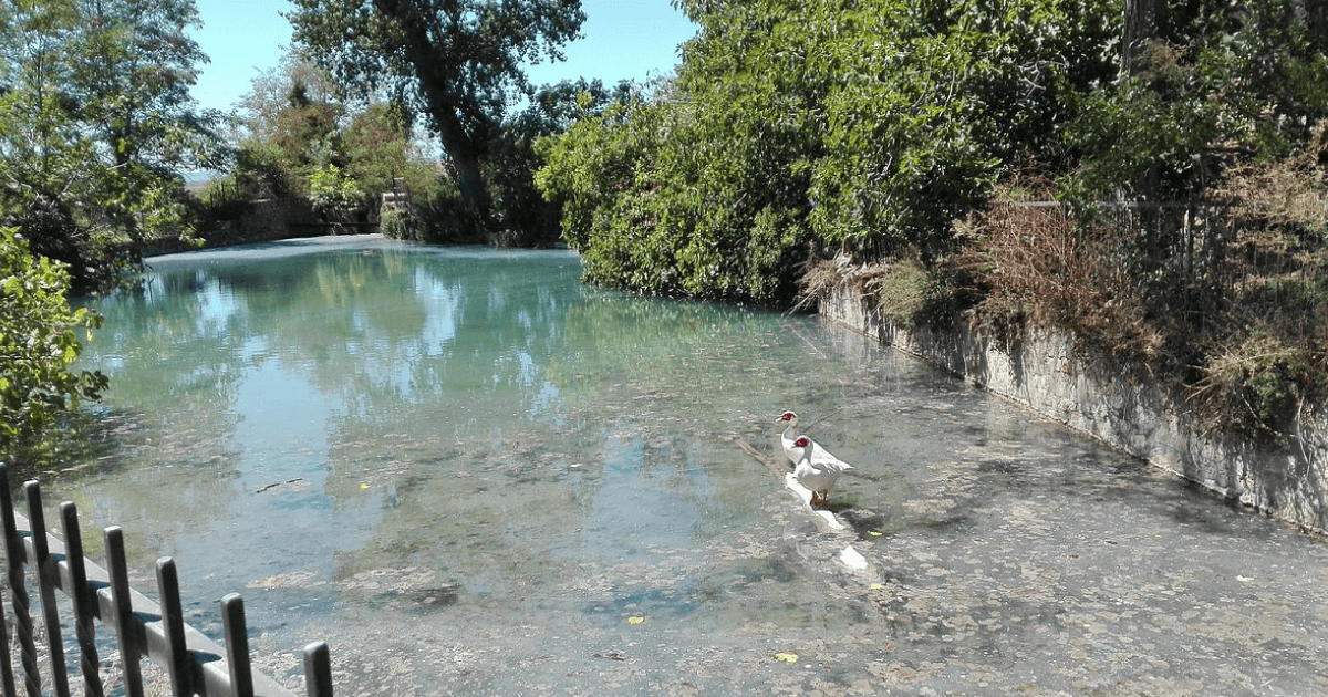 San Casciano dei bagni/Author: www.tripadvisor.com