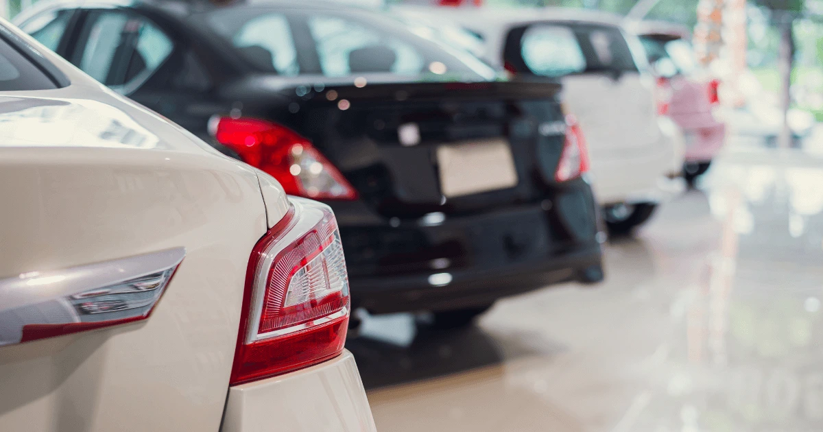 Flotta autonoleggio locale